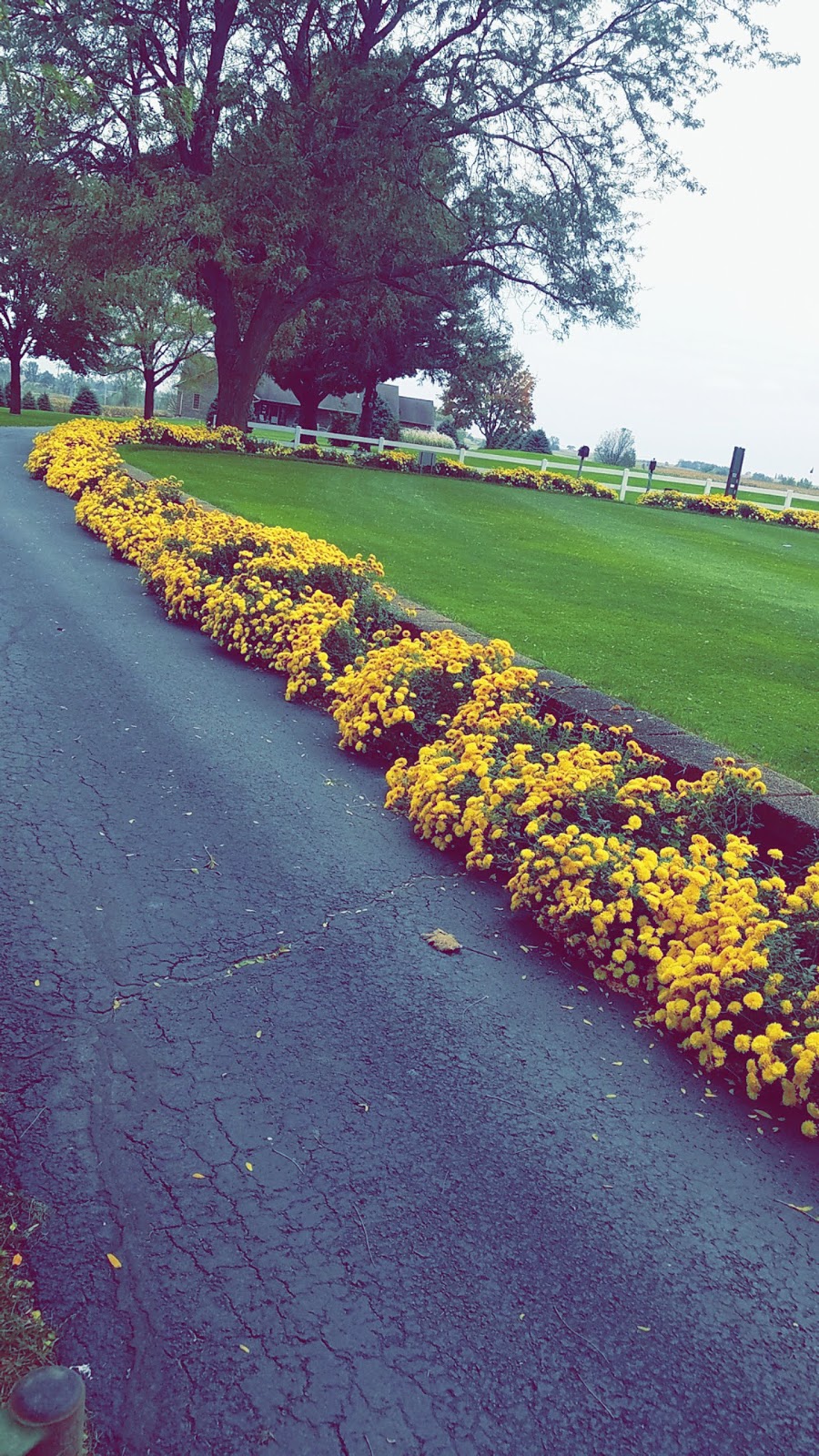 Cole Acres Golf And Supper Club | restaurant | 7617 Co Rd J, Cuba City, WI 53807, USA | 6087442476 OR +1 608-744-2476