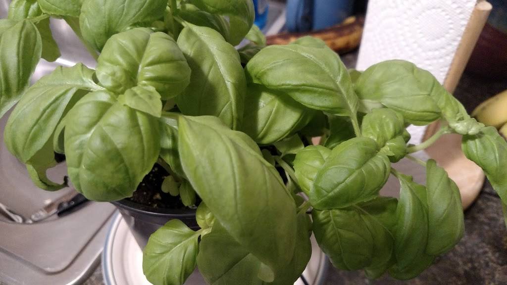 Drexel House | restaurant | 4039 Garrett Rd, Drexel Hill, PA 19026, USA | 6106224141 OR +1 610-622-4141