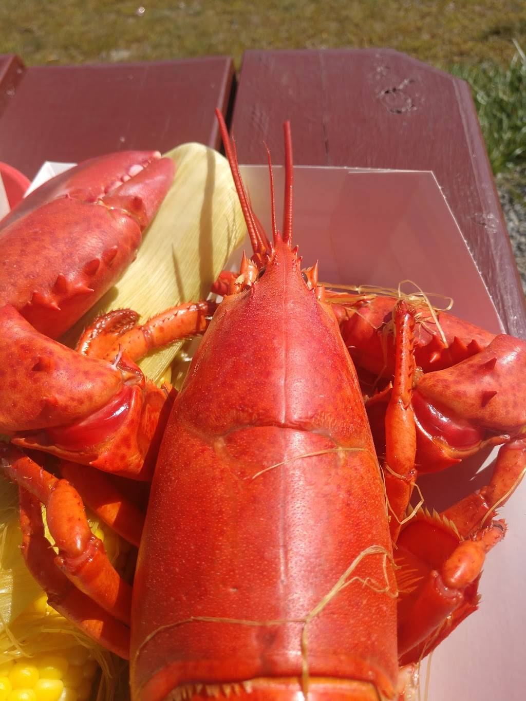 Pemaquid Seafood | restaurant | 32 Co-Op Rd, Pemaquid, ME 04558, USA | 2076772642 OR +1 207-677-2642