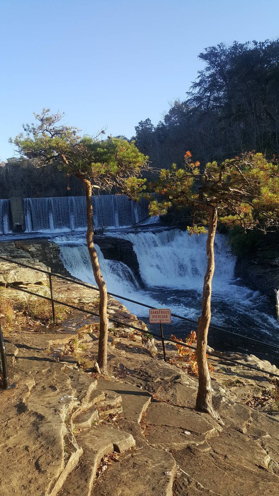 Guthries of Homewood | restaurant | 341 Palisades Blvd, Birmingham, AL 35209, USA | 2057835800 OR +1 205-783-5800