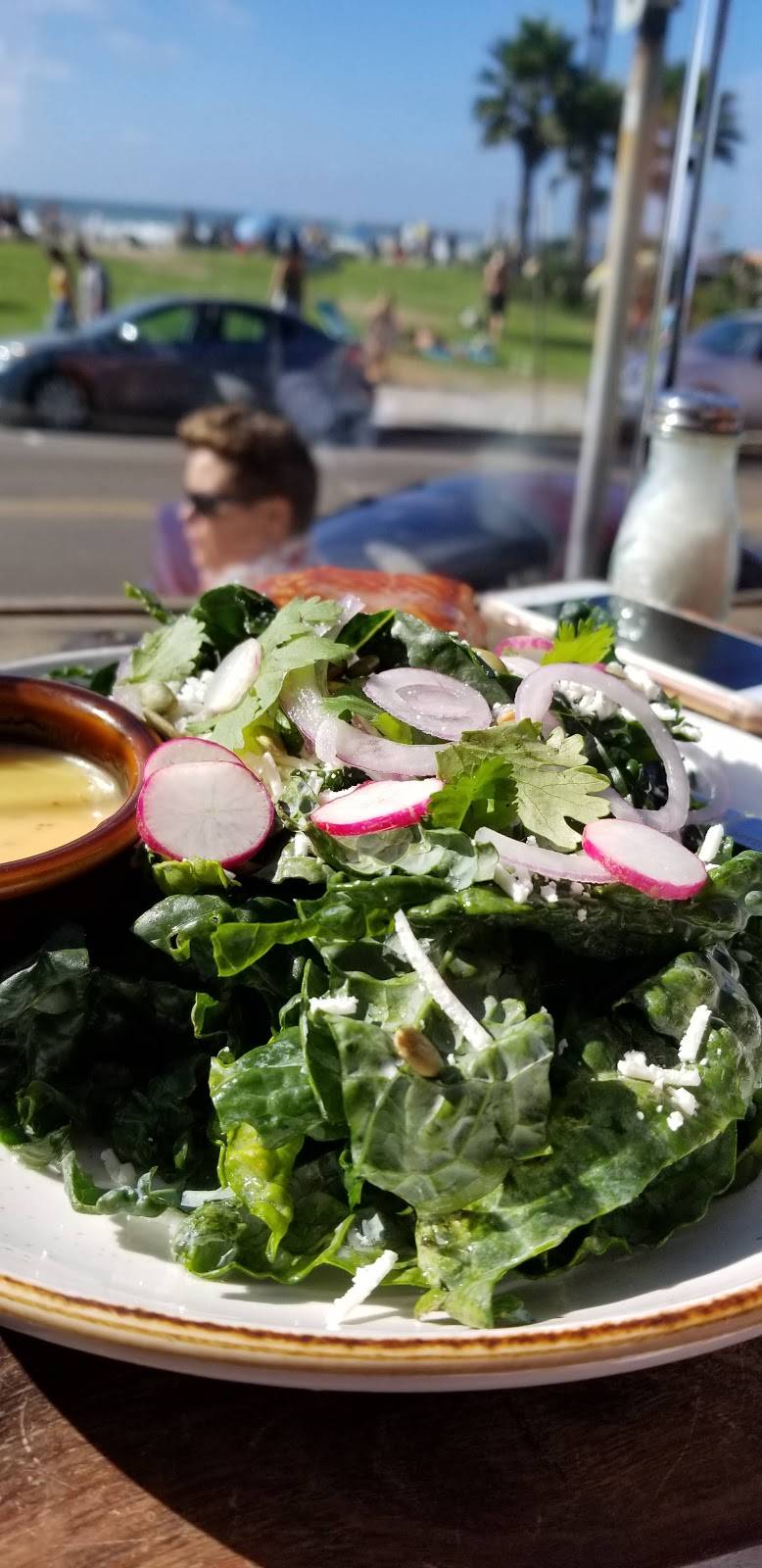 Wonderland Ocean Pub | restaurant | 5083 Santa Monica Ave, San Diego, CA 92107, USA | 6192553358 OR +1 619-255-3358