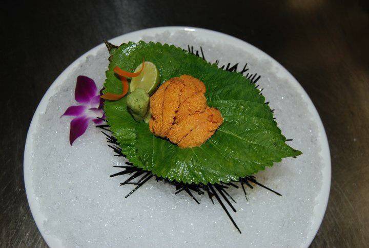 Tekka Japanese Grill & Sushi Lexington KY | restaurant | 2300 Sir Barton Way #110, Lexington, KY 40509, USA | 8595430010 OR +1 859-543-0010