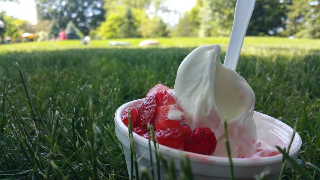 Dairy Freez | restaurant | 368 County Rd 34, Essex, ON N8M 2X5, Canada | 5198394703 OR +1 519-839-4703