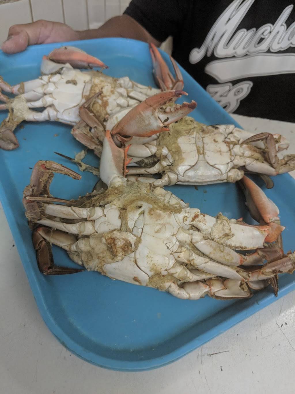 Ernies Crab House | meal takeaway | 2213, 10553 Greenbelt Rd, Lanham, MD 20706, USA | 3014643744 OR +1 301-464-3744