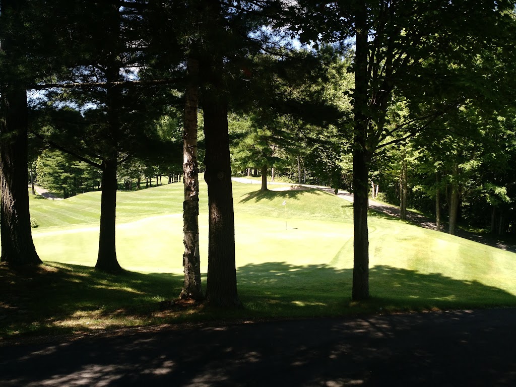 Natural Golf Course | restaurant | 4706 W Otsego Lake Dr, Gaylord, MI 49735, USA | 9897321785 OR +1 989-732-1785