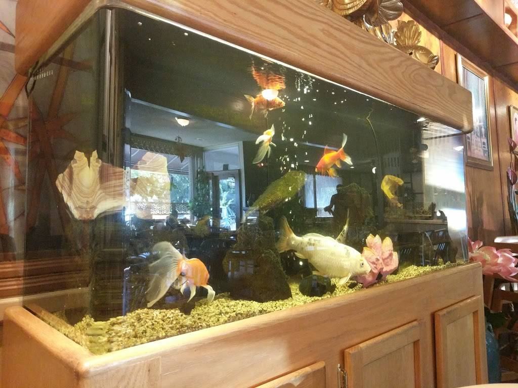 Jhanthong Banbua | restaurant | 2400 Mendocino Ave, Santa Rosa, CA 95403, USA | 7075288048 OR +1 707-528-8048