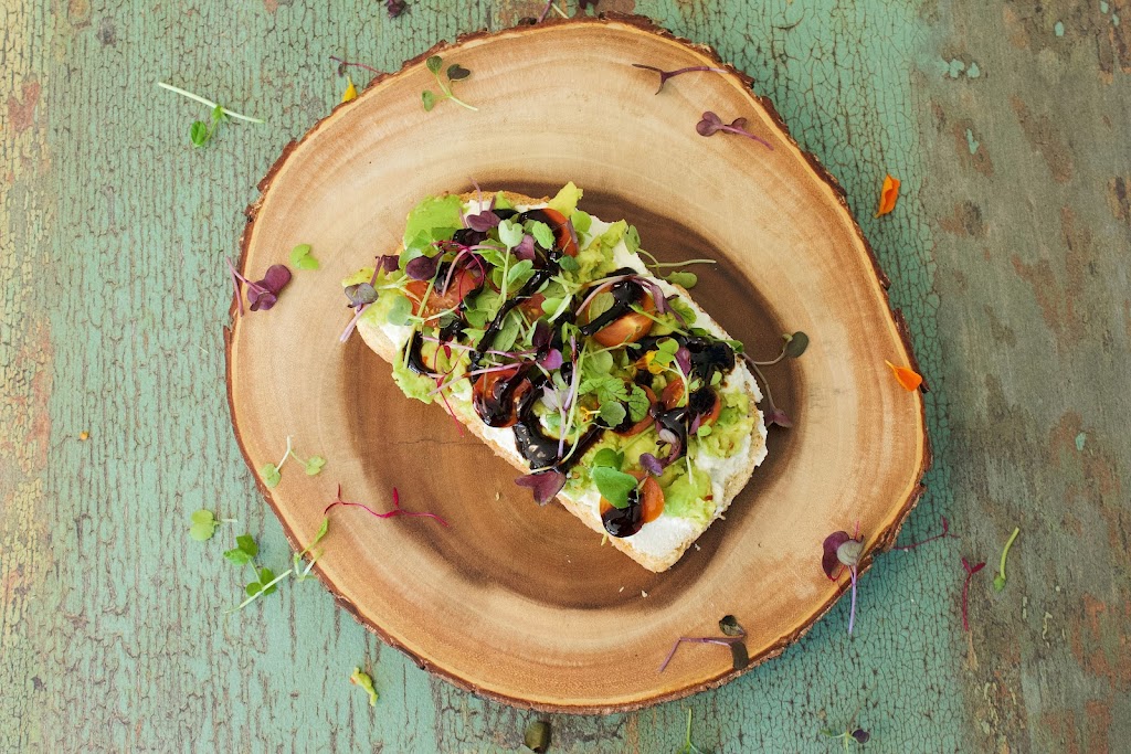 The Healthy Shack | restaurant | 325 Madison St suite e1008, Lansdale, PA 19446, USA | 2158532510 OR +1 215-853-2510