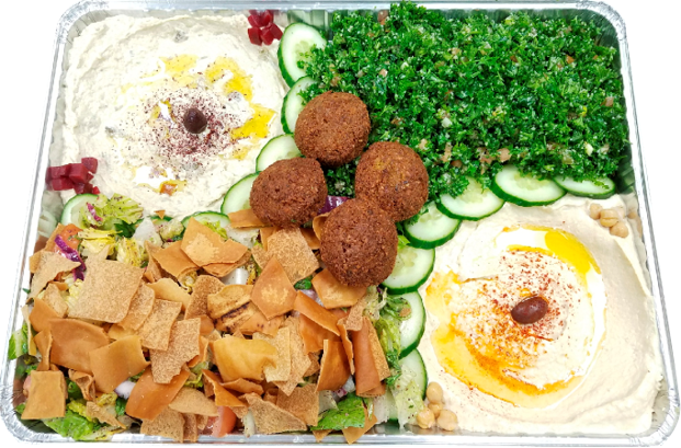 Habibi Shawarma Grille | restaurant | 30875 Woodward Ave, Royal Oak, MI 48073, USA | 2482067175 OR +1 248-206-7175