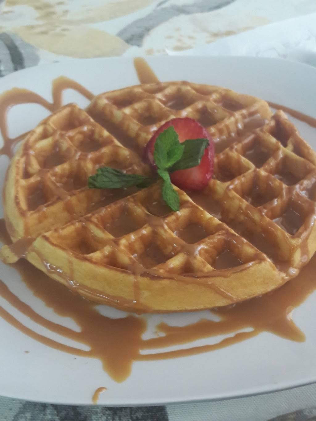 Punta Sur Cafe and Restaurant | restaurant | 2725 S Beneva Rd, Sarasota, FL 34232, USA | 9412038765 OR +1 941-203-8765