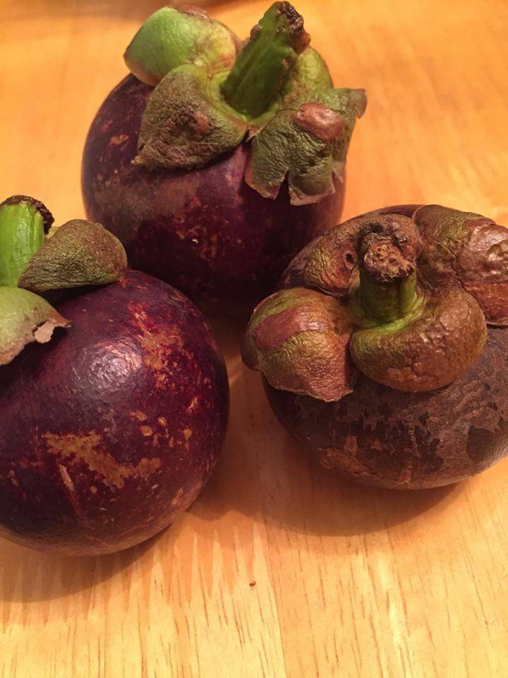 Délices Thaï xp | restaurant | 600 Rue Pierre-Caisse, Saint-Jean-sur-Richelieu, QC J3A 1M1, Canada | 4503590486 OR +1 450-359-0486