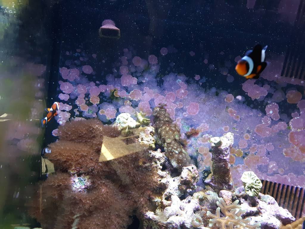 Henrys Northeast | restaurant | 111 Sparkleberry Crossing Rd #1, Columbia, SC 29229, USA | 8035635674 OR +1 803-563-5674