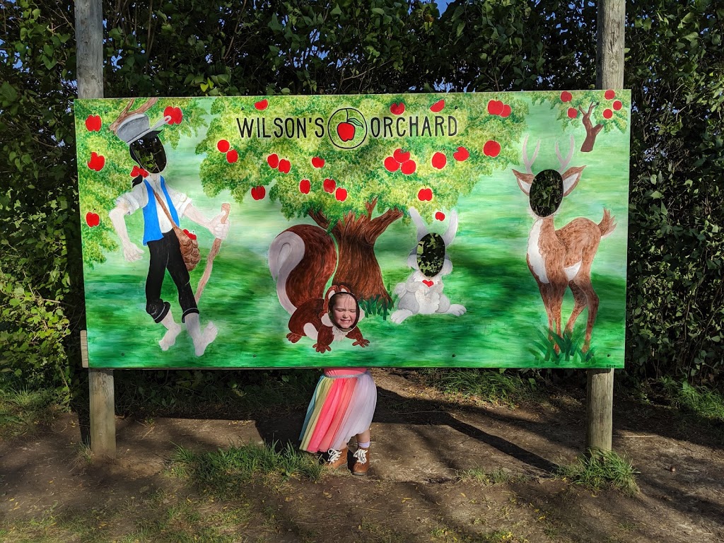 Wilsons Orchard & Farm | bakery | 4823 Dingleberry Rd NE #1, Iowa City, IA 52240, USA | 3193545651 OR +1 319-354-5651