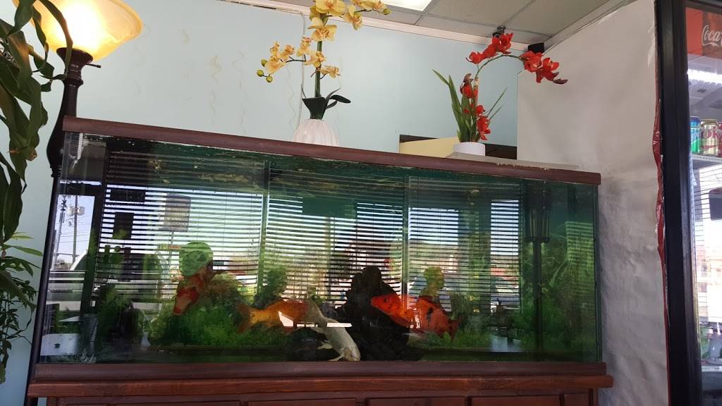 PHO 249 | restaurant | 14449 TX-249, Houston, TX 77086, USA | 2817818702 OR +1 281-781-8702