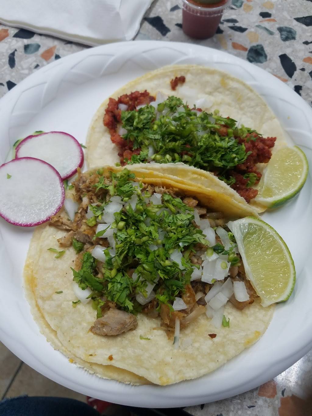 Mi Tierra | restaurant | 732 Classon Ave, Brooklyn, NY 11238, USA | 3474420352 OR +1 347-442-0352