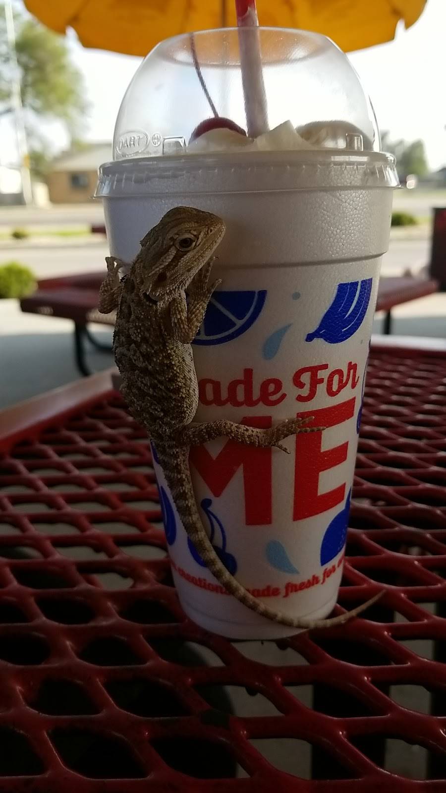 Sonic Drive-In | restaurant | 809 1st St, Fort Lupton, CO 80621, USA | 3038574376 OR +1 303-857-4376