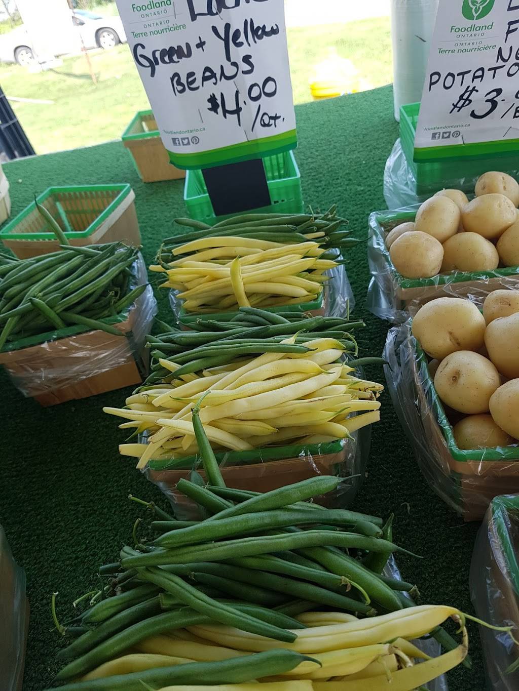 Mings Garden | restaurant | 4630 Victoria Ave, Vineland Station, ON L0R 2E0, Canada | 9055626888 OR +1 905-562-6888