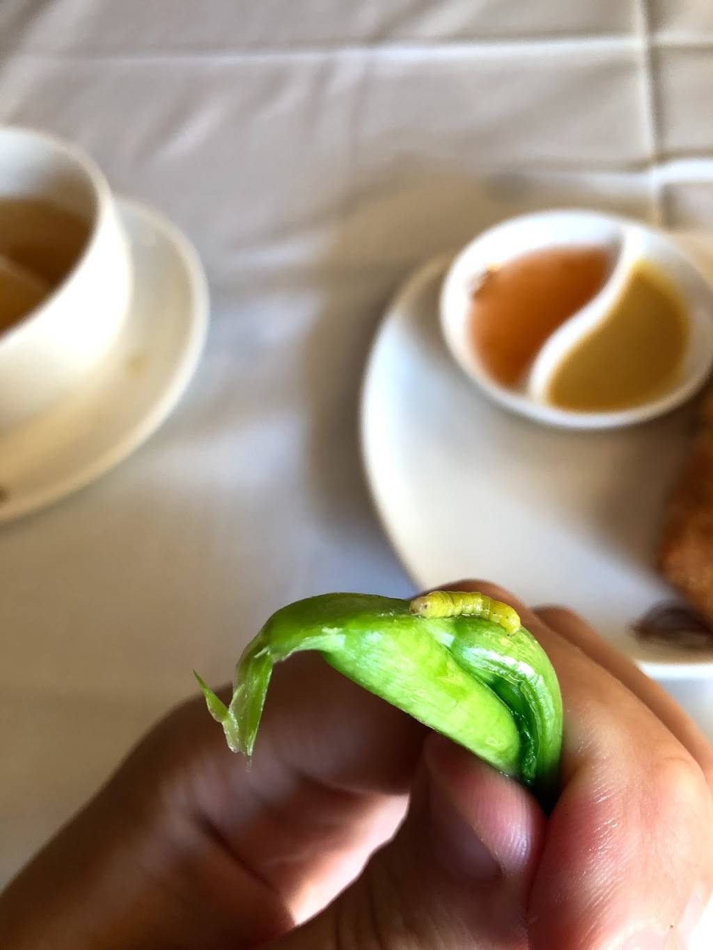 Golden Bowl | restaurant | 33 Rittenhouse Pl, Ardmore, PA 19003, USA | 6106493382 OR +1 610-649-3382