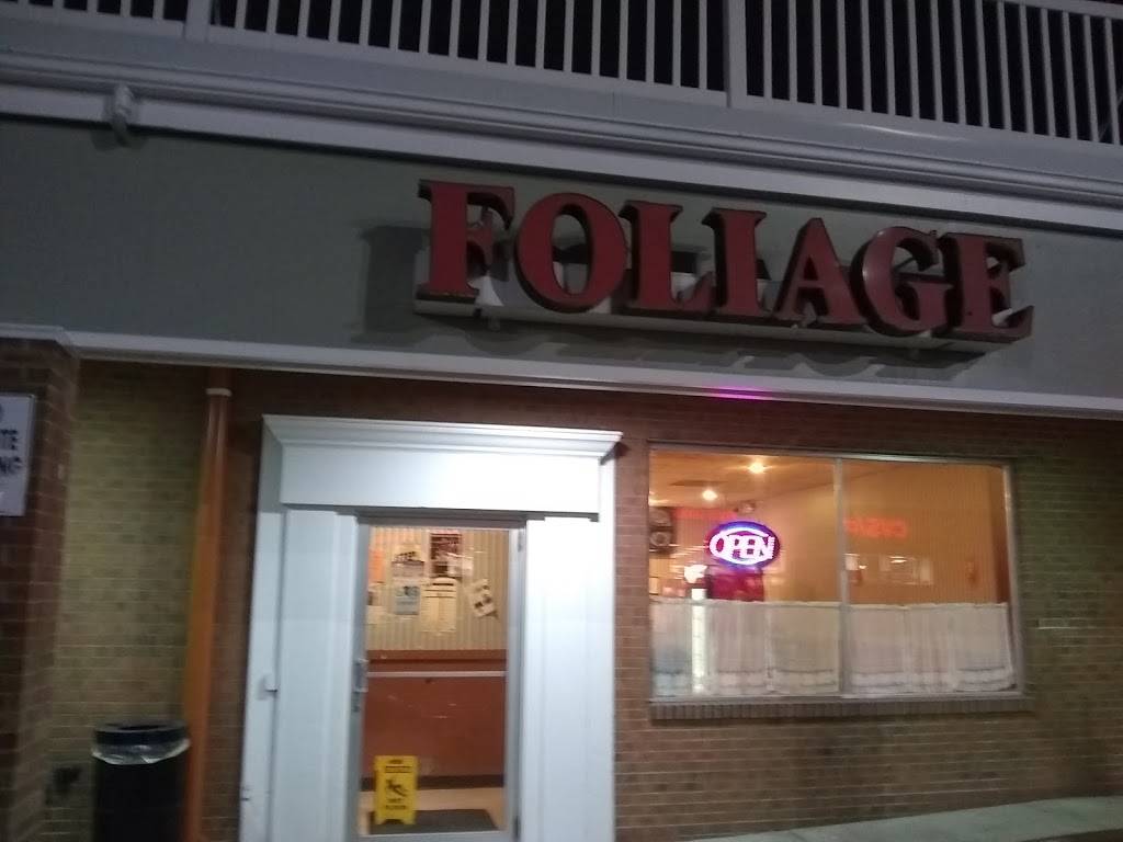 Foliage | restaurant | 45 Riverside Dr, Johnson City, NY 13790, USA | 6077988998 OR +1 607-798-8998