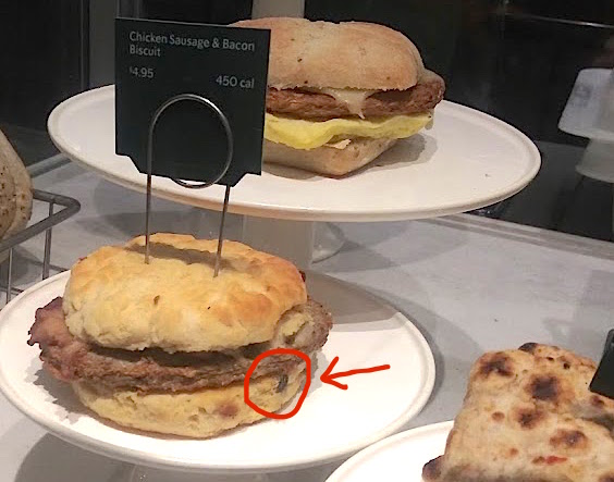 Starbucks | cafe | 850 NW 62nd St, Fort Lauderdale, FL 33309, USA | 7869187979 OR +1 786-918-7979