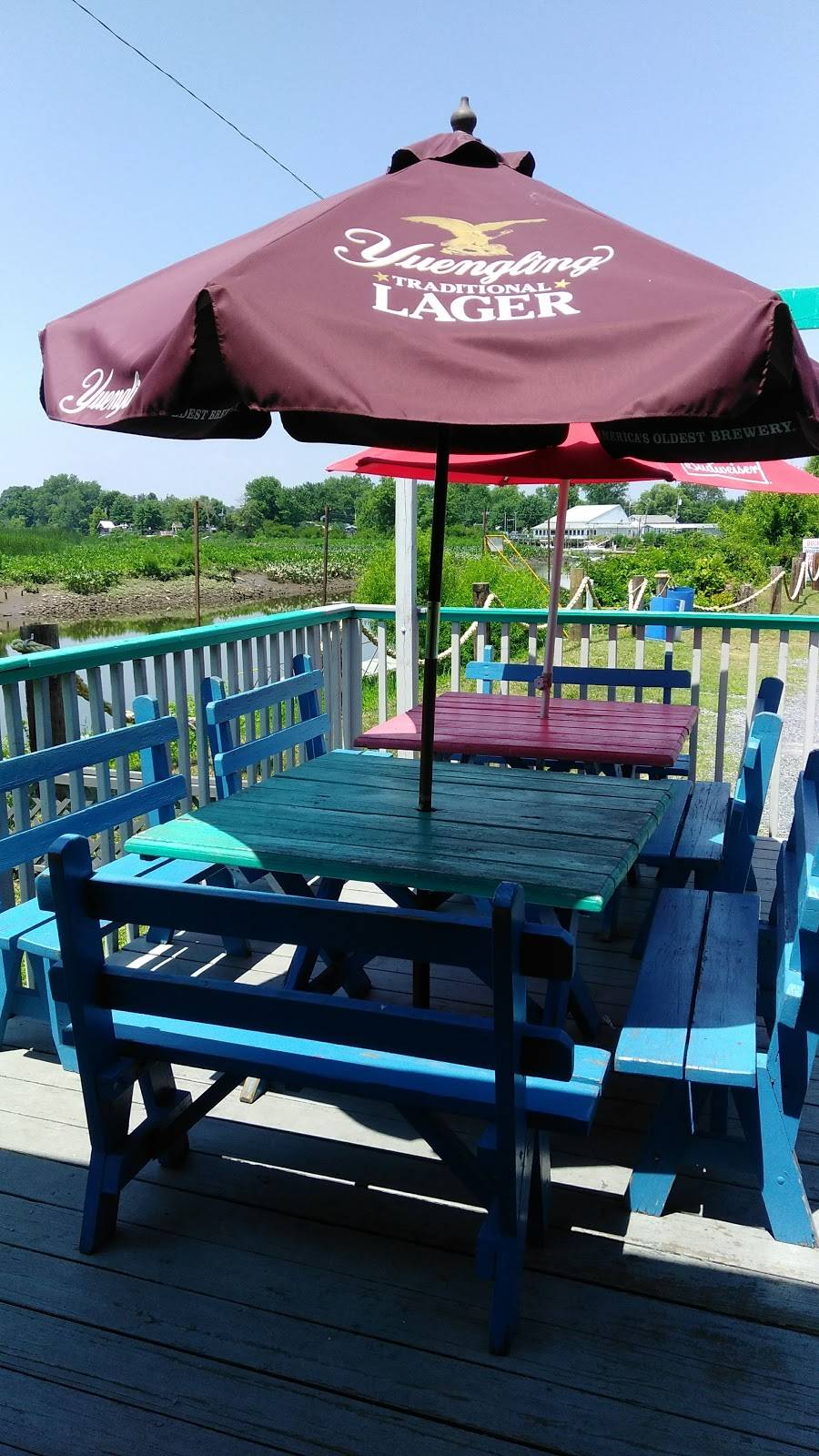 The Coconut Grove Dockside Bar | restaurant | 150 Riverview Ave, National Park, NJ 08063, USA | 8565794065 OR +1 856-579-4065