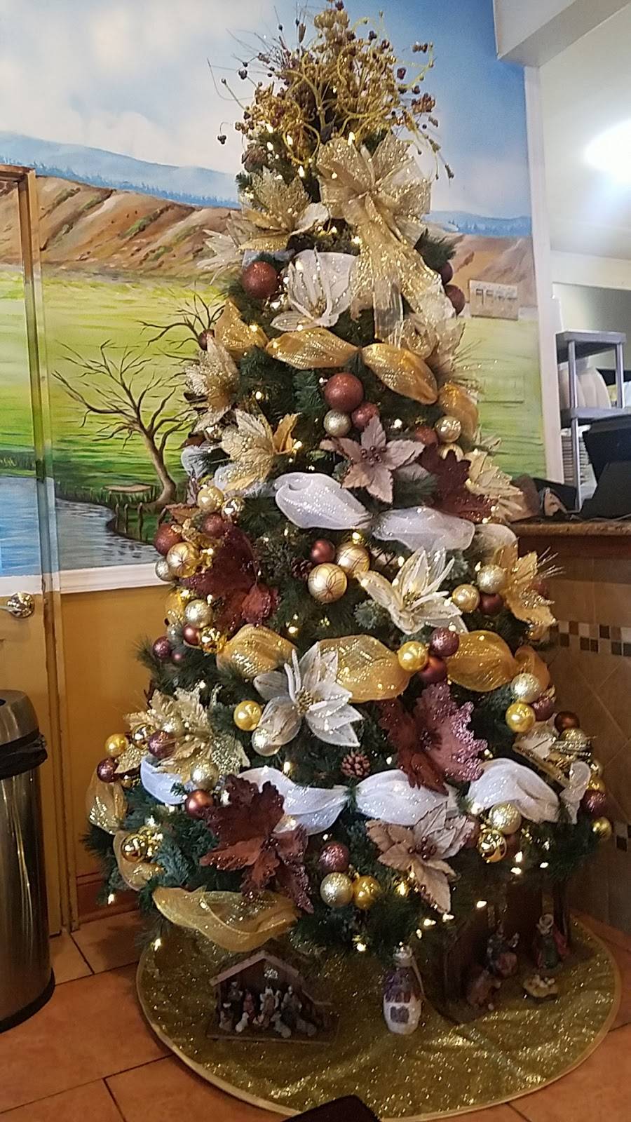 Elsa La Reina Del Chicharron | restaurant | 1515 Teaneck Rd, Teaneck, NJ 07666, USA | 2018372524 OR +1 201-837-2524