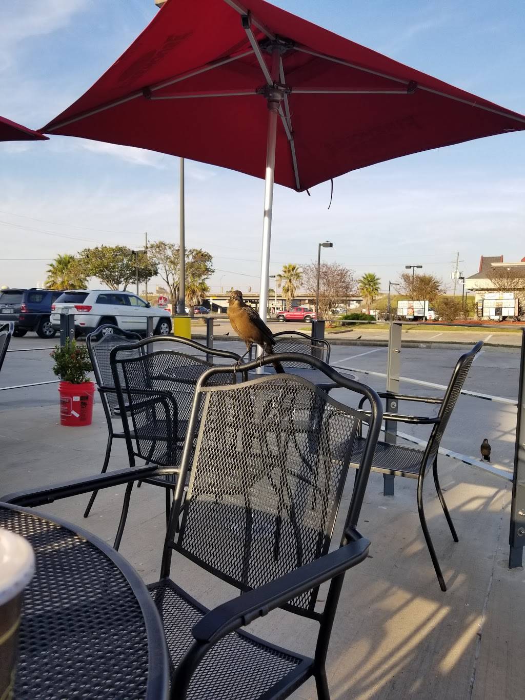 Firehouse Subs | meal delivery | 2780 FM 365 a, Nederland, TX 77627, USA | 4097298500 OR +1 409-729-8500