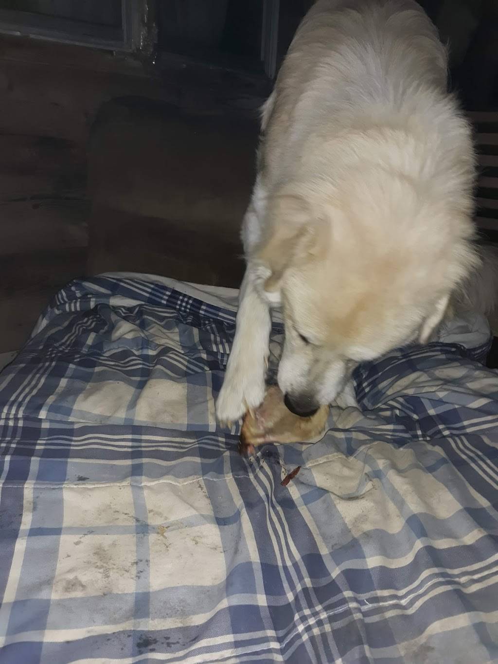 SMILEYS | restaurant | 125 Lumpkin Dr, Batesville, AR 72501, USA | 8708340217 OR +1 870-834-0217