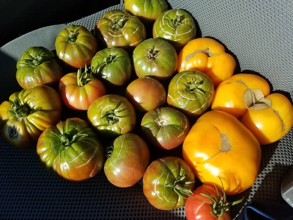 Tipsy Tomato Bar And Pizzeria | restaurant | 656 New Haven Ave, Derby, CT 06418, USA | 2037327931 OR +1 203-732-7931