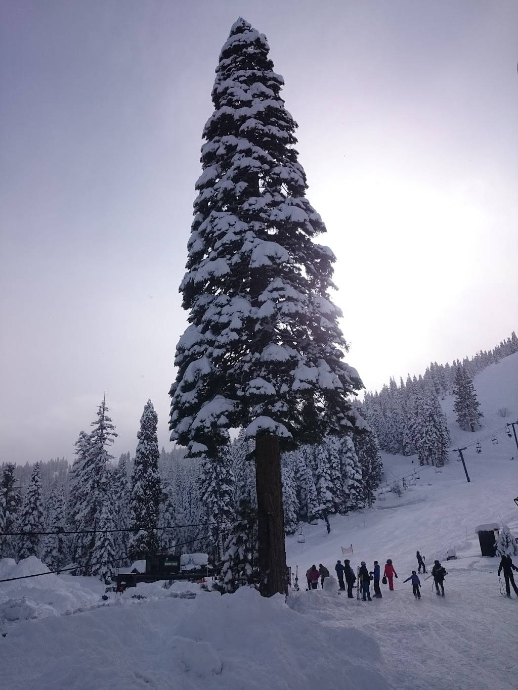 Homewood Mountain Resort | restaurant | 5145 W Lake Blvd, Homewood, CA 96141, USA | 5305252992 OR +1 530-525-2992