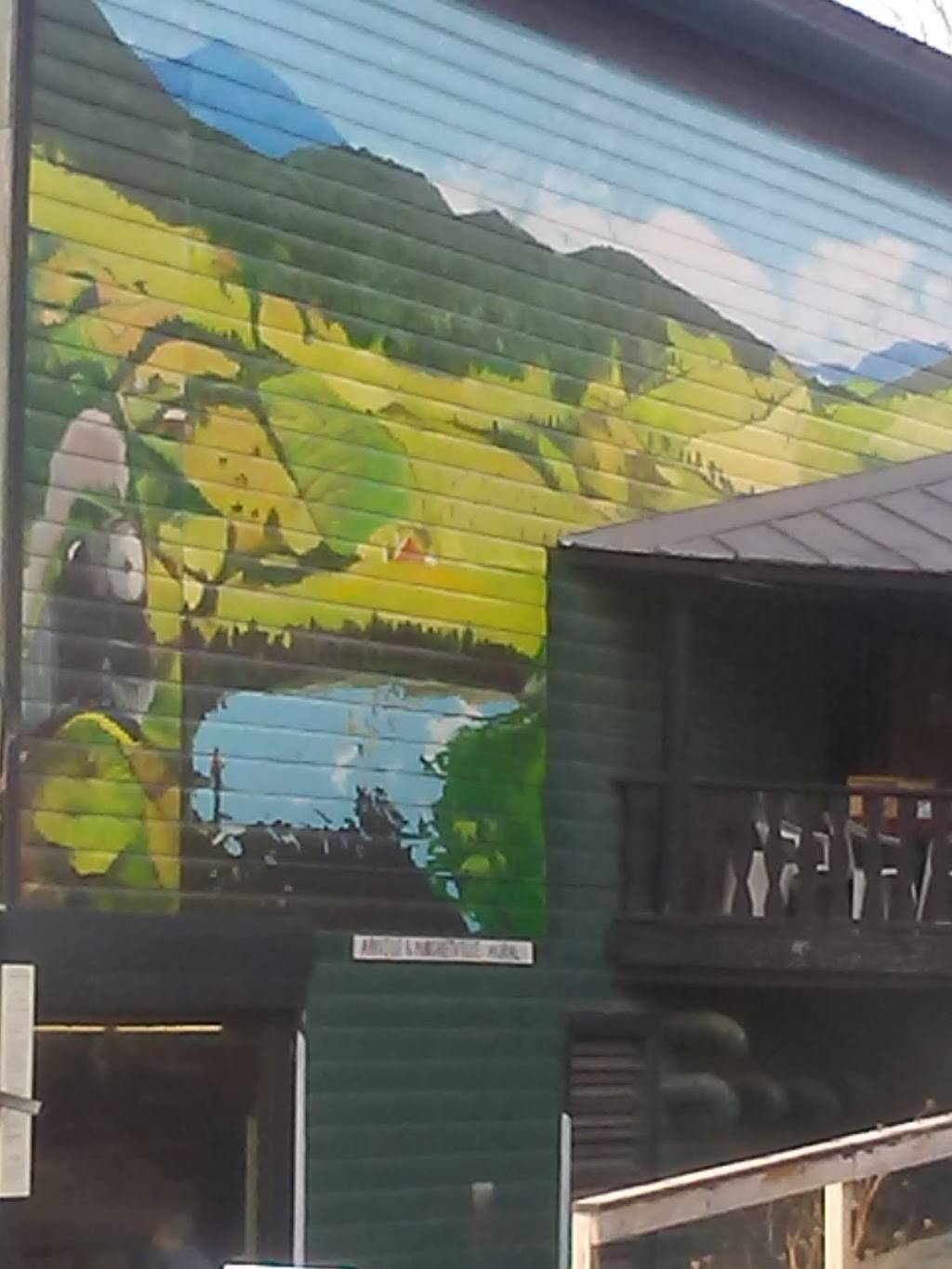 Donatellos Pizza | restaurant | 43263 NY-28, Arkville, NY 12406, USA | 8455862552 OR +1 845-586-2552