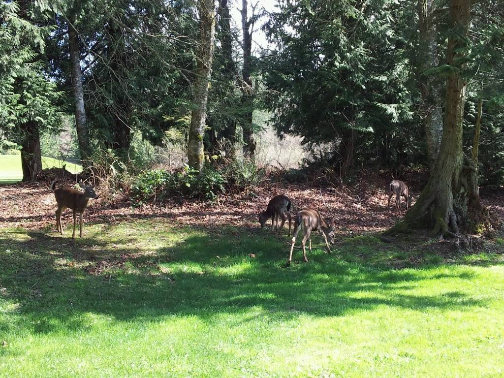 Lake Padden Golf Course | restaurant | 4882 Samish Way, Bellingham, WA 98229, USA | 3607387400 OR +1 360-738-7400