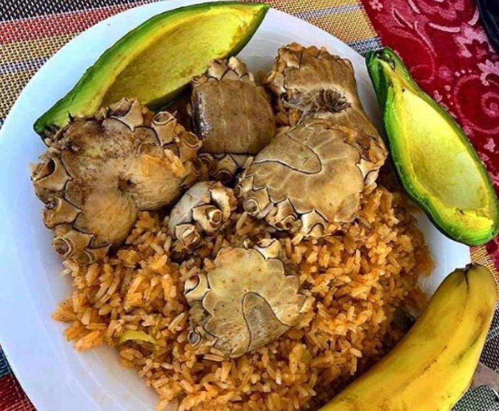 Los primos del sabor 809 | restaurant | 3710 W Waters Ave, Tampa, FL 33614, USA | 8133649893 OR +1 813-364-9893