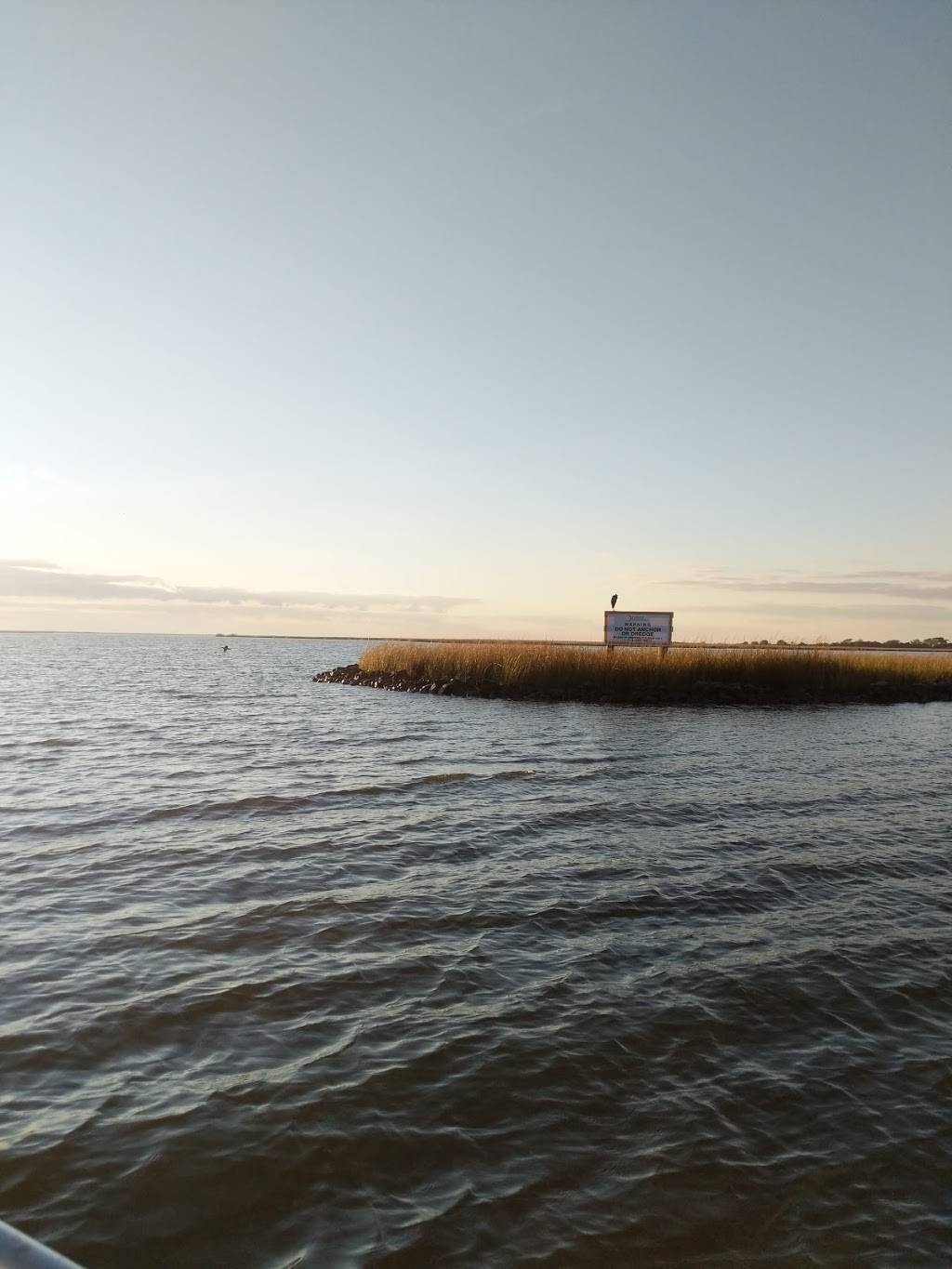 Harbor Light Marina | restaurant | 8239 LA-56, Chauvin, LA 70344, USA | 9854663167 OR +1 985-466-3167