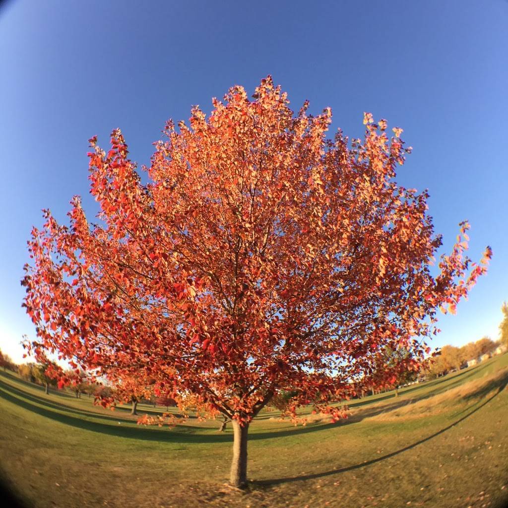 Shady Grove Golf Course and Restaurant | restaurant | 15733 US-224, Findlay, OH 45840, USA | 4194227494 OR +1 419-422-7494