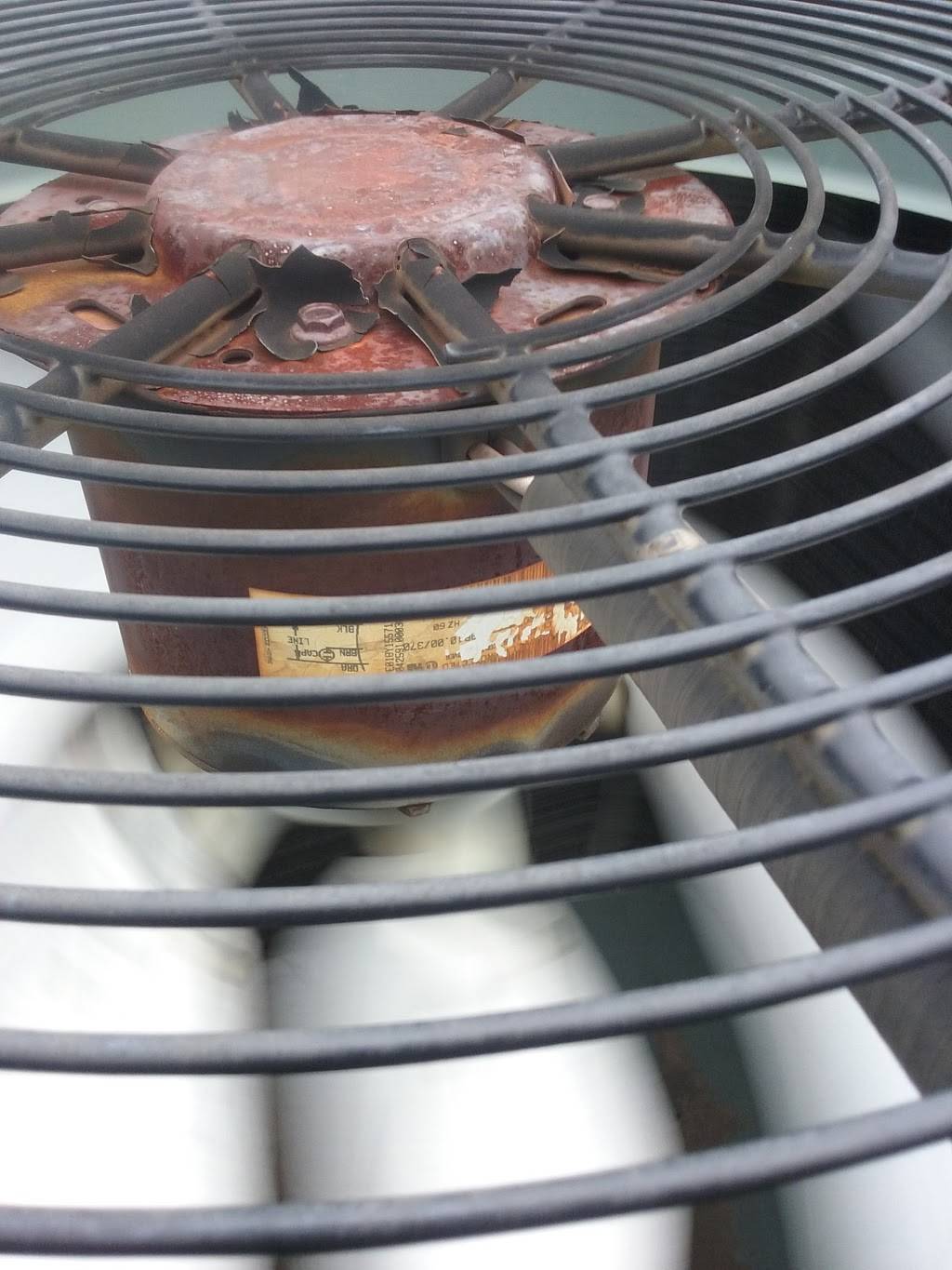 Smoothie King | restaurant | 3303 South Hwy 6 Ste. A, Sugar Land, TX 77478, USA | 2812657600 OR +1 281-265-7600