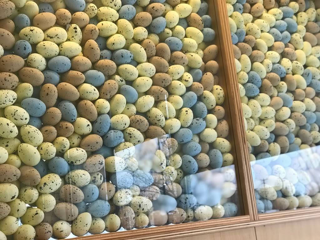 Wild Eggs | restaurant | 1438 W Main St, Carmel, IN 46032, USA | 3179933350 OR +1 317-993-3350