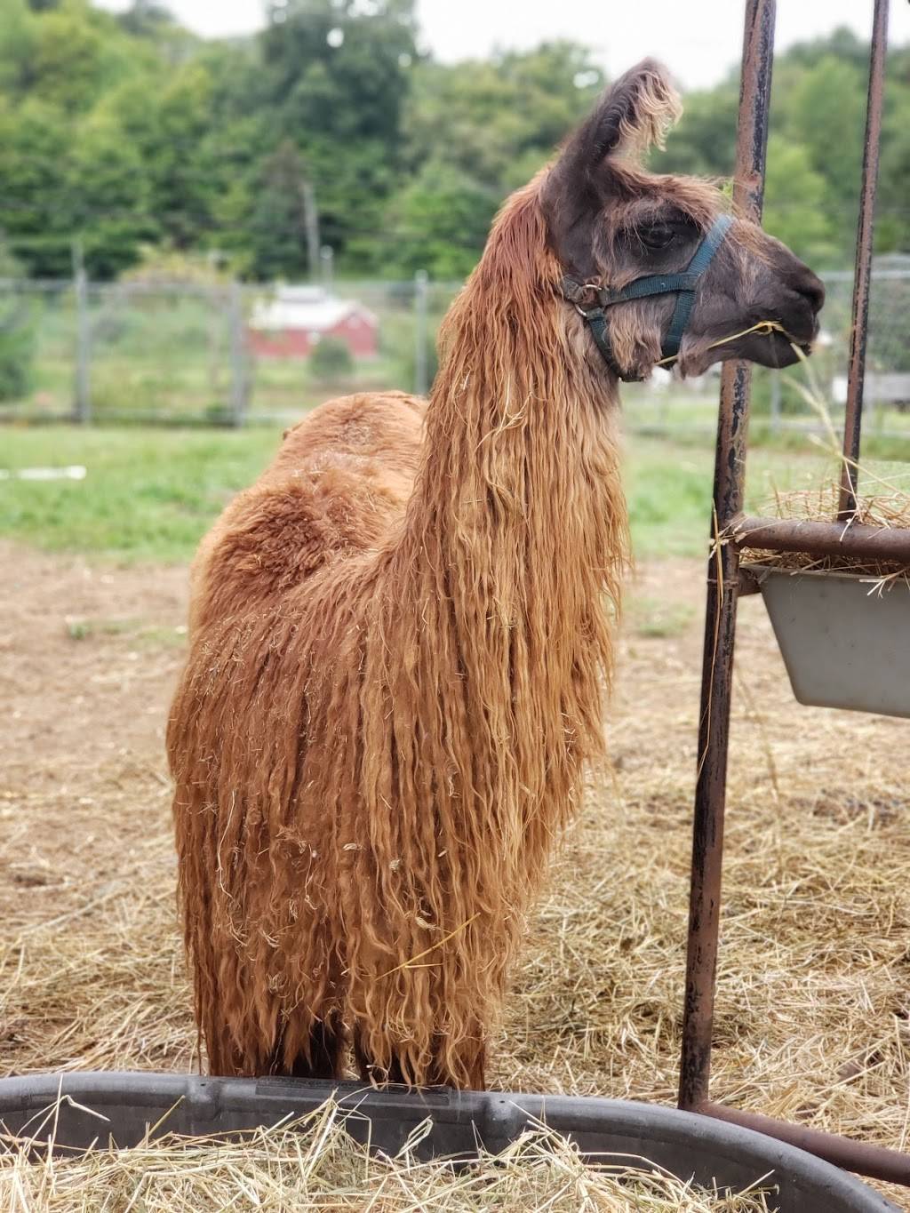 Lakeside Farm Stand | restaurant | 31 Lake Dr, Guilford, CT 06437, USA | 2034570152 OR +1 203-457-0152