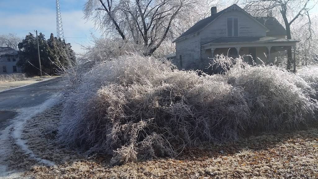 Mencl Tavern | restaurant | 200 4th St, Virginia, NE 68458, USA | 4026884286 OR +1 402-688-4286