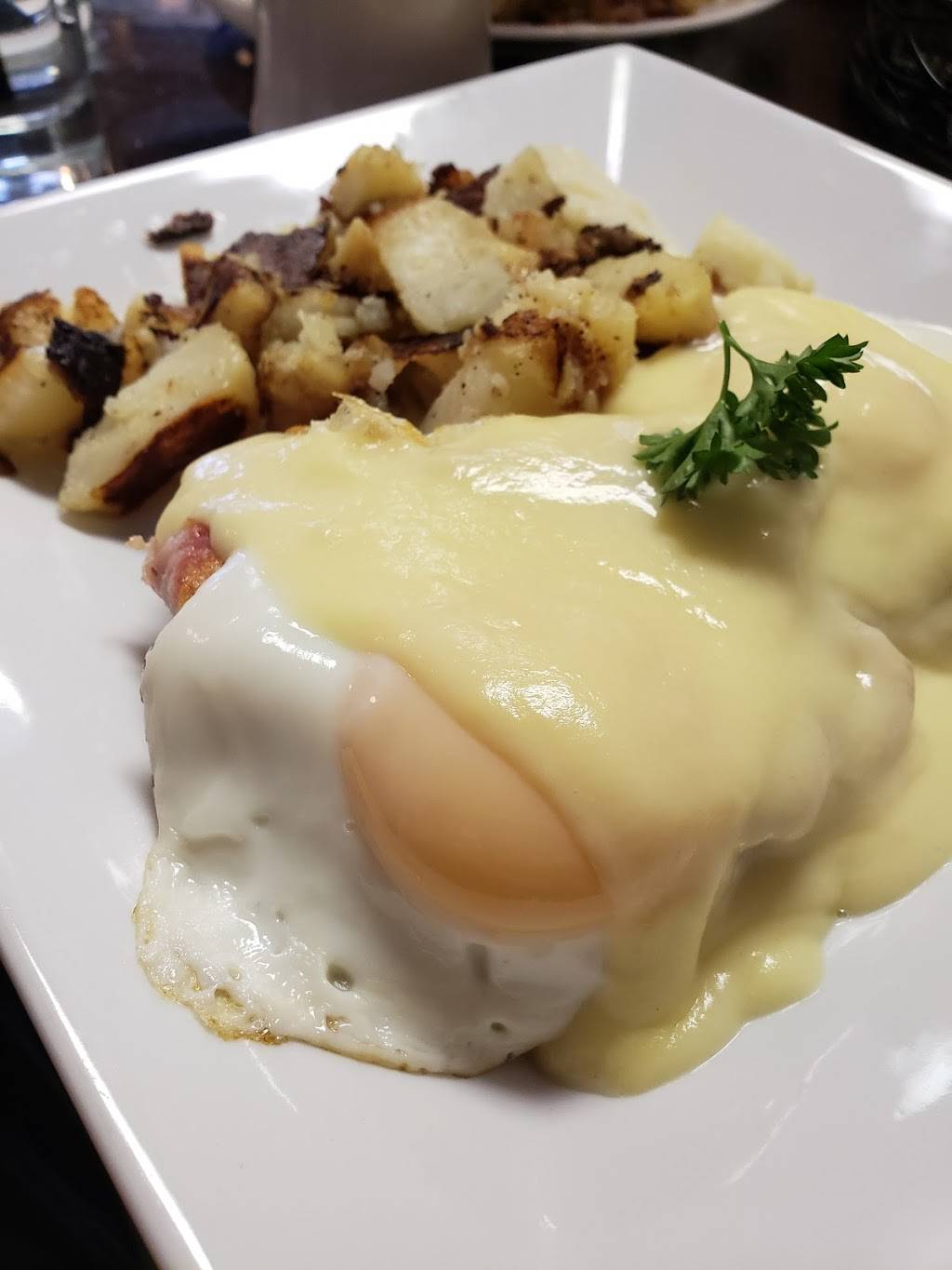 Nicks Place Express | restaurant | 2466 Elmwood Ave, Kenmore, NY 14217, USA | 7168770088 OR +1 716-877-0088