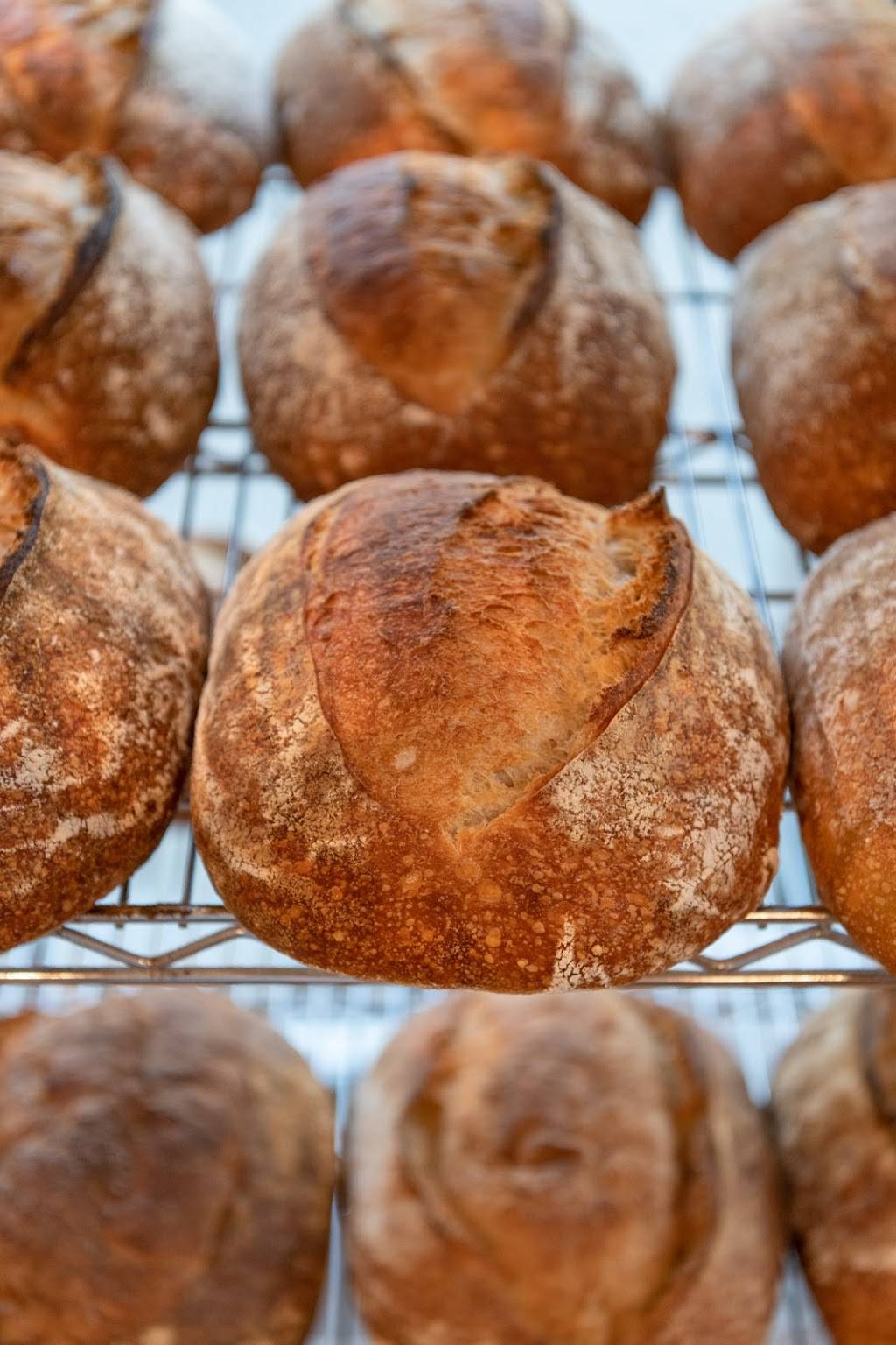 Bianca Bakery | restaurant | 8850 Washington Blvd, Culver City, CA 90232, USA | 4246034353 OR +1 424-603-4353