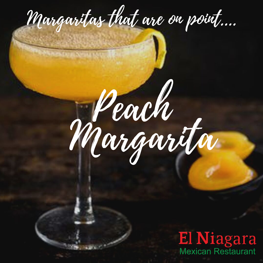 El Niagara Mexican Restaurant | restaurant | 2561 County Line Rd, Algonquin, IL 60102, USA | 8155276026 OR +1 815-527-6026