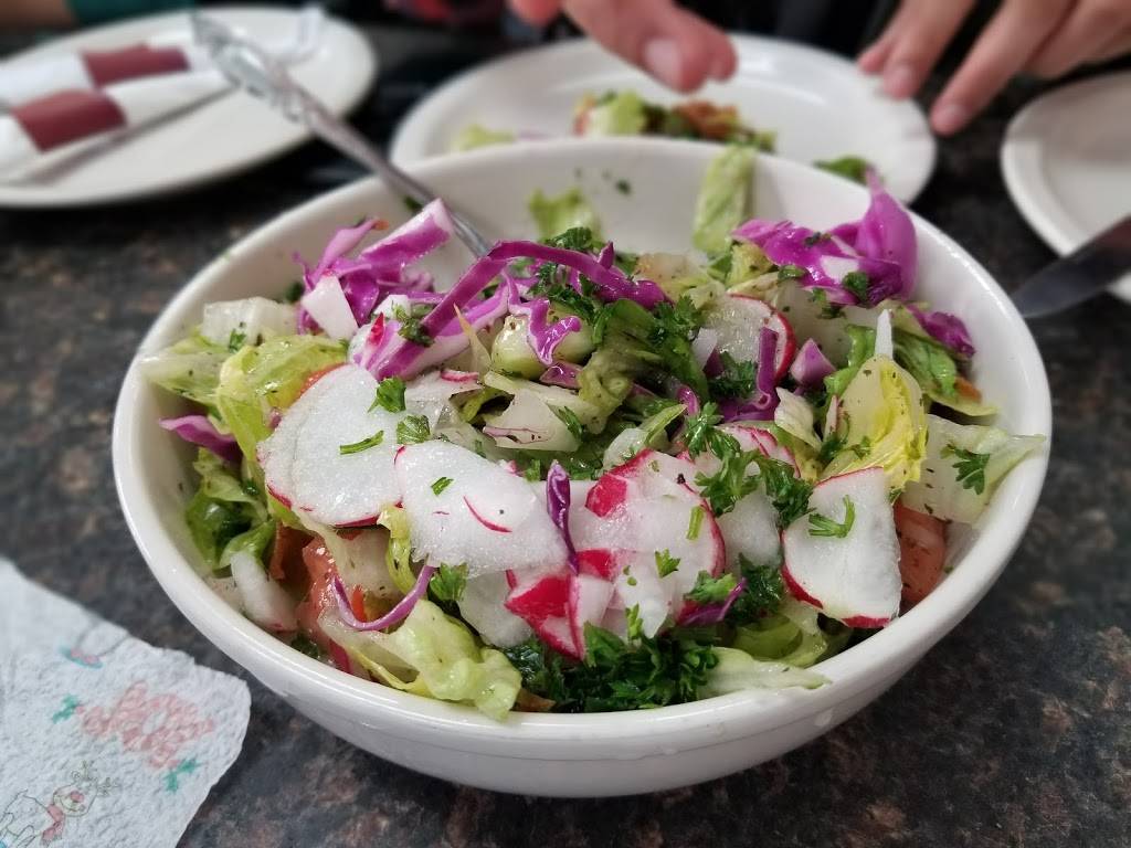 Hamido | restaurant | 13251 W Warren Ave, Dearborn, MI 48126, USA | 3135820660 OR +1 313-582-0660