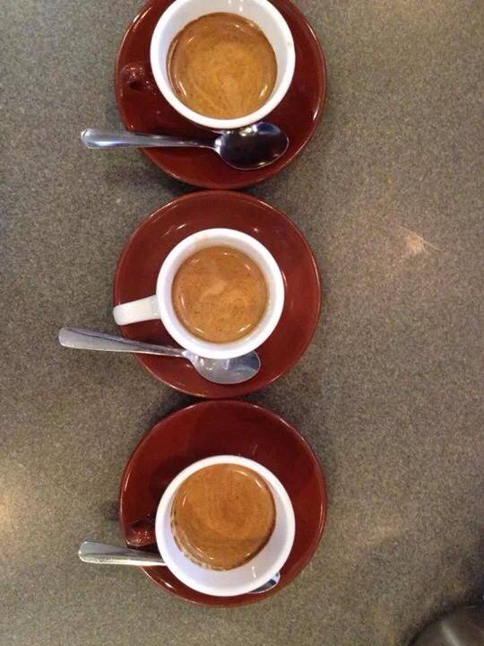 Tazza DOro | bakery | 1603 India St, San Diego, CA 92101, USA | 6197958370 OR +1 619-795-8370