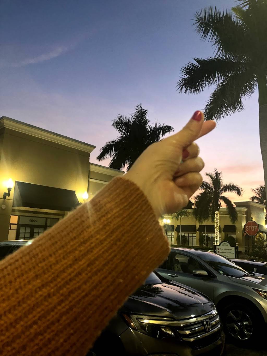 Banyan Subs | restaurant | 2520 PGA Boulevard #24, Palm Beach Gardens, FL 33410, USA | 5618387116 OR +1 561-838-7116