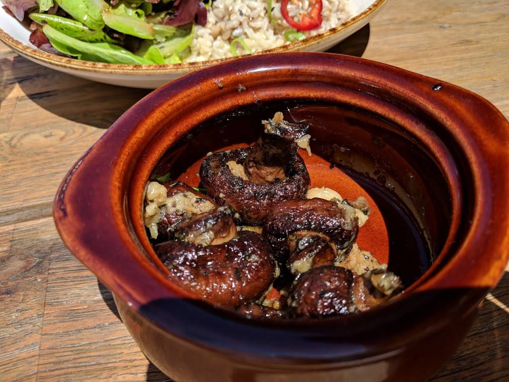 Harvest Eatery & Gourmet Pantry | restaurant | 5 Petaluma Blvd S d, Petaluma, CA 94952, USA | 7077818800 OR +1 707-781-8800