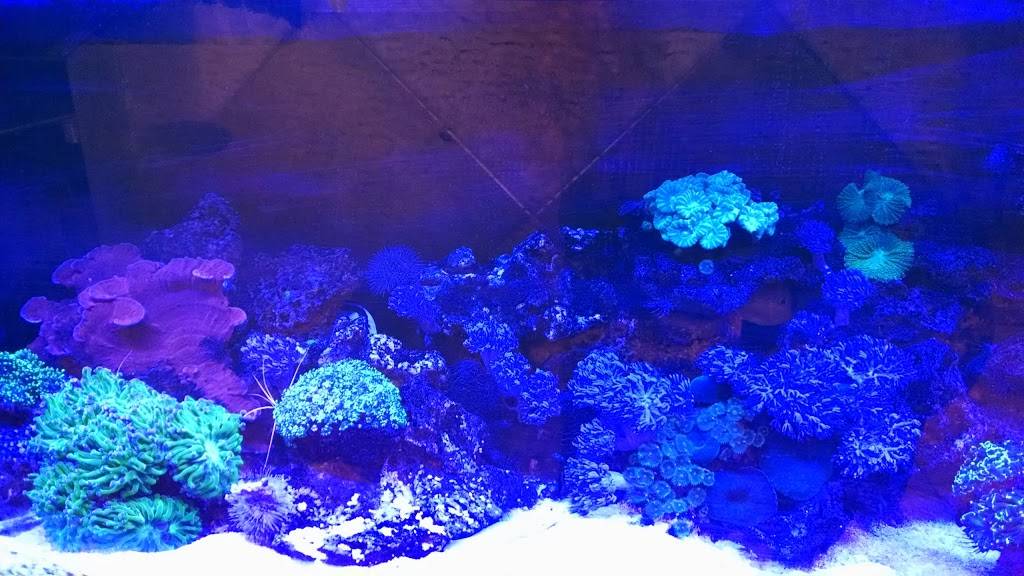 Happy Fortune | restaurant | 1030 Forrest Ave # 112, Dover, DE 19904, USA | 3027308666 OR +1 302-730-8666