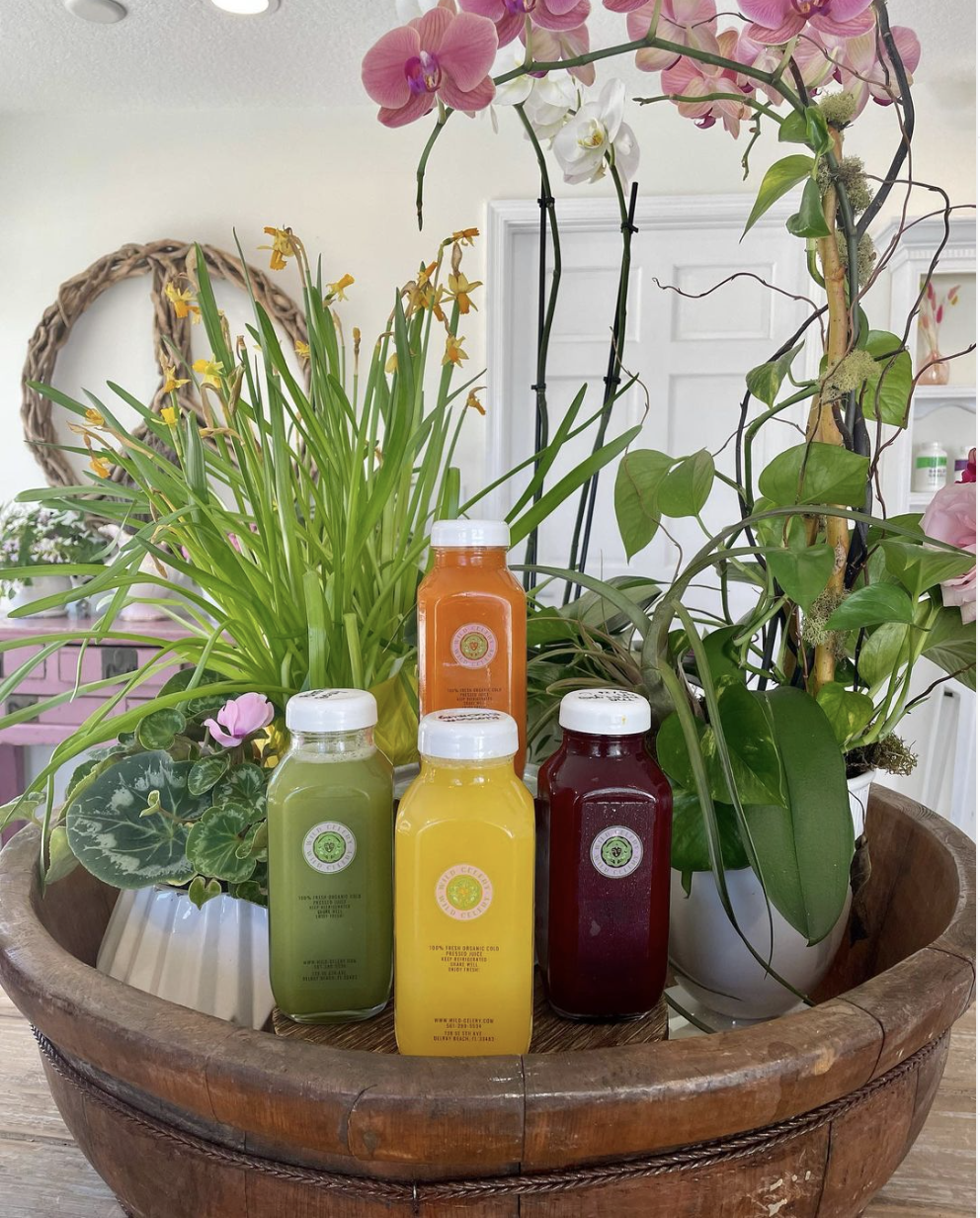 Wild Celery | cafe | 738 SE 5th Ave, Delray Beach, FL 33483, USA | 5619082944 OR +1 561-908-2944