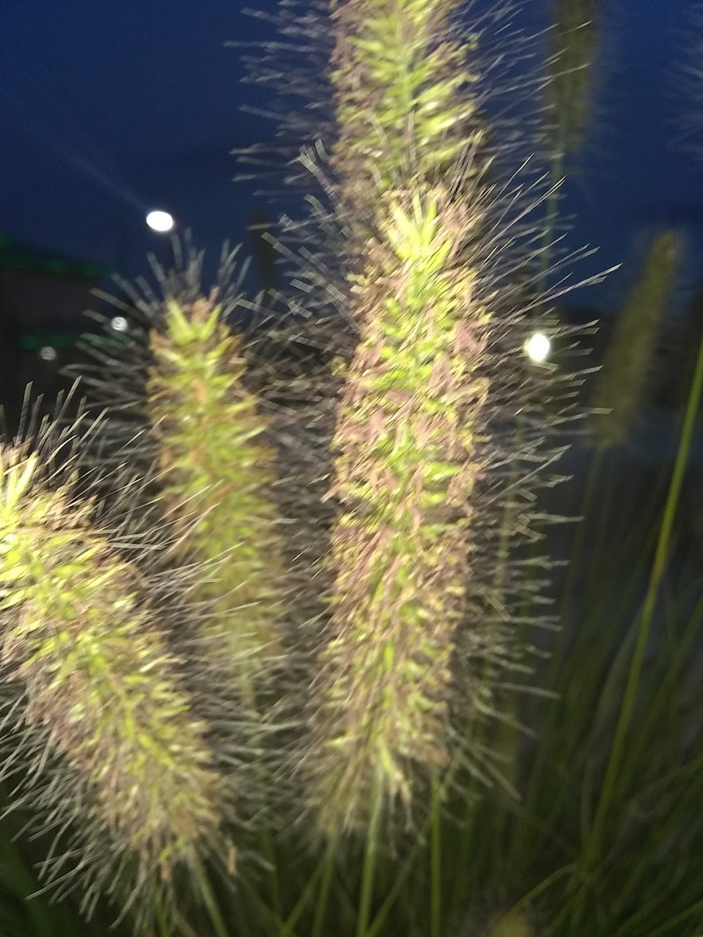 Clearwater Saloon & Casino | restaurant | 838 Valley Mall Pkwy #4842, East Wenatchee, WA 98802, USA | 5098882003 OR +1 509-888-2003