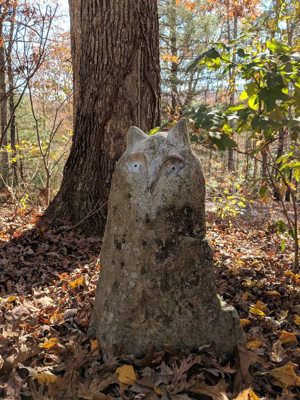 Bent Creek Bistro | restaurant | 100 Frederick Law Olmsted Way, Asheville, NC 28806, USA | 8284128584 OR +1 828-412-8584