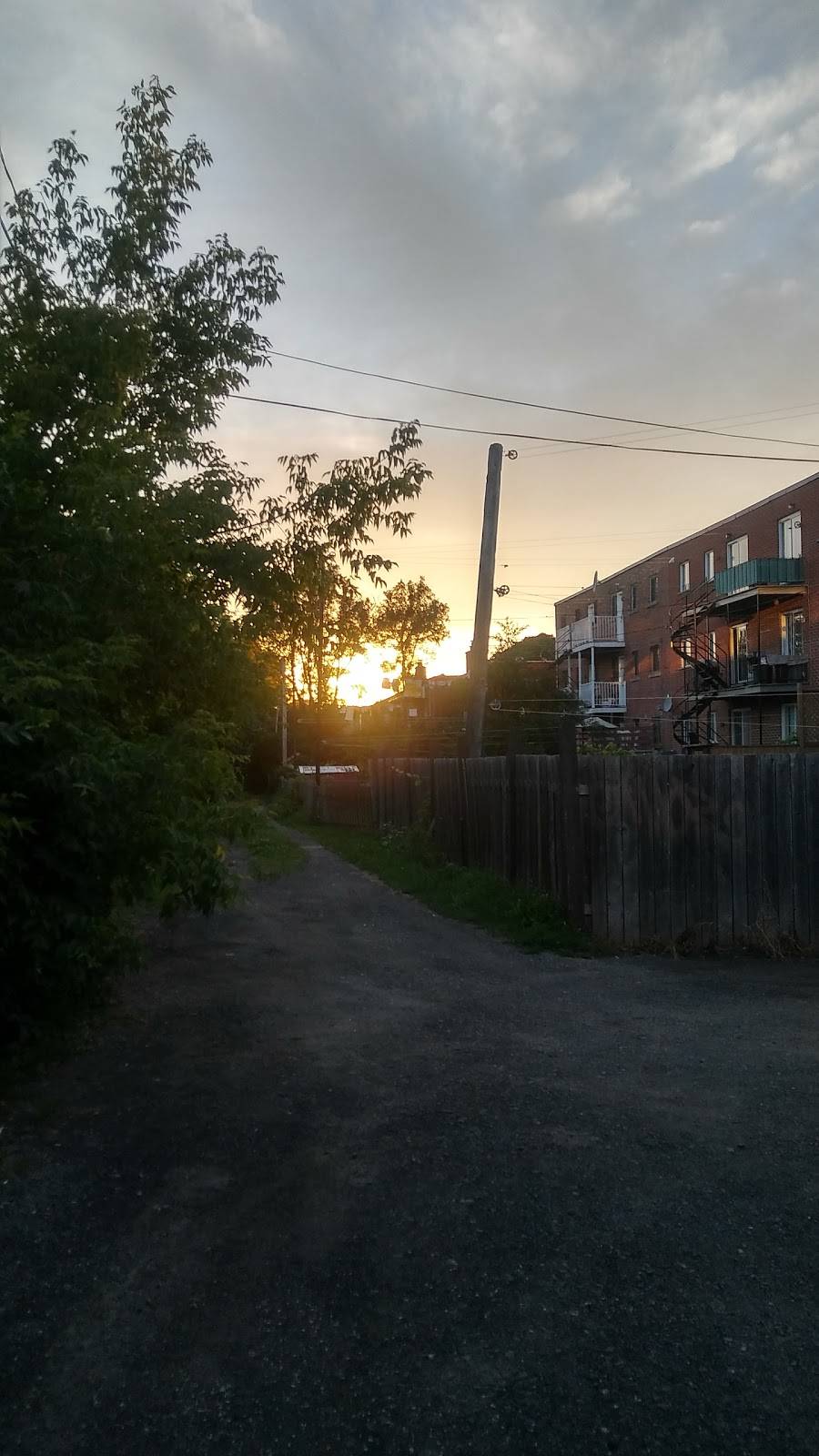 Brasserie Cannebière 1986 Inc | restaurant | 4975 Rue Beaubien E, Montréal, QC H1T 1V3, Canada | 5147293442 OR +1 514-729-3442